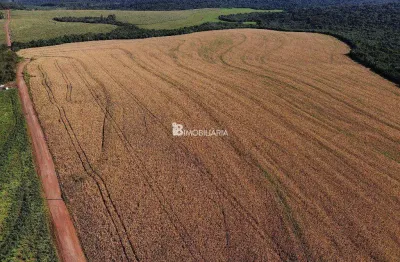 Chácara / sítio à venda na Indefinido, Centro, Santa Tereza do Oeste