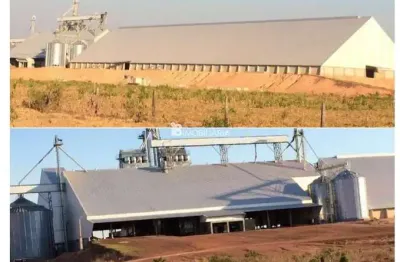 Chácara / sítio à venda na Indefinido, Centro, Santa Terezinha