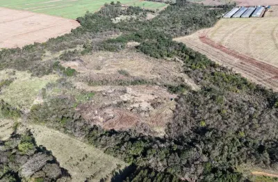 Chácara / sítio à venda na Indefinido, Centro, São Miguel do Iguaçu