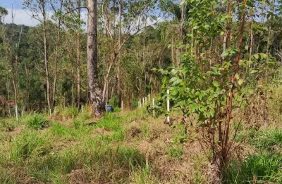 Terreno à venda na Rua Henrique Hessel, 4500, Parque Florestal, São Paulo
