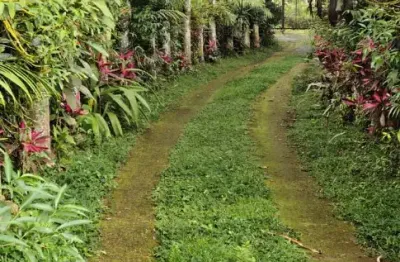 Sitio em embu guaçu, com dois lago para pesca, piscina e uma ampla área verde com muito ar puro.