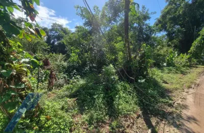 Ubatuba, itamambuca - lote com 540,00 m2, escritura definitiva, liberação ambiental em condomínio segurança 24 hs.