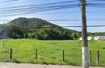 Ubatuba, mato dentro - área com 15.000 m² - 130 metros de testada para rodovia.