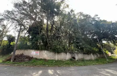 Terreno à venda na rua máximo pinheiro lima, 300, vista alegre, curitiba por r$ 1.359.000
