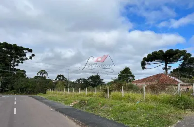 Terreno à venda na rua paraíso, 1150, roseira de são sebastião, são josé dos pinhais, 520 m2 por r$ 279.900