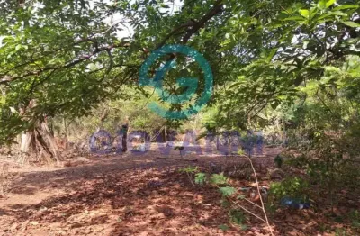 Chácara / sítio à venda no Machados, Araraquara 
