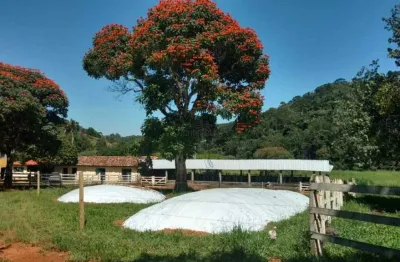 Fazenda à venda, 4 quartos, 4 vagas, centro - ponte nova/mg