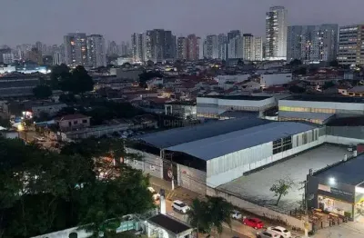 Apartamento de 2 quartos à venda no vivace parque – vila moreira, são paulo