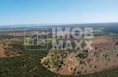 Fazenda a venda em formosa: 281 hectares, água perene, dupla aptidão - escriturada e registrada.