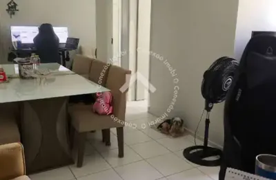 Apartamento à venda no condomínio mais viver pacífico - rosa elze | 2 quartos e gás canalizado