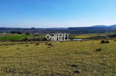 Fazenda 50 hectares em sapiranga  - estuda proposta com  40% em imóveis