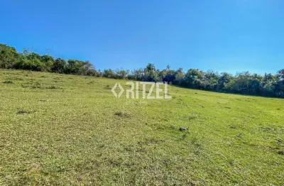 Sítio 5 hectares em sapiranga - entrada r$ 190 mil  - saldo direto 48 x