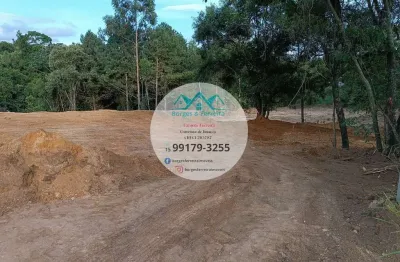 Terreno com platô pronto e mina d'água - parcelamento direto com o proprietário
