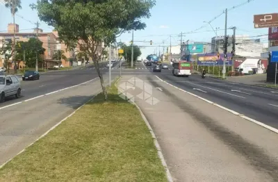 Loja comercial na avenida baltazar de oliveira garcia - excelente oportunidade