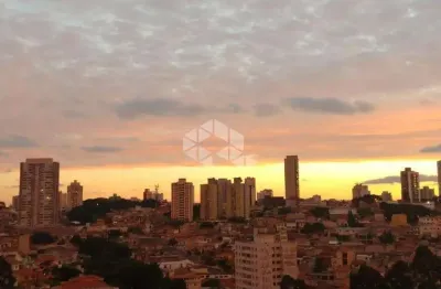 Apartamento com 3 quartos à venda na rua aratanha, 197, jardim têxtil, são paulo, 64 m2 por r$ 430.000