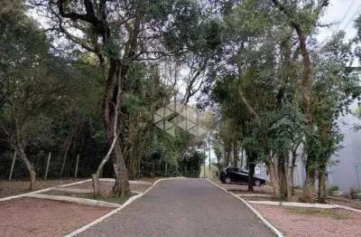 Apartamento 2 dorms à venda rua dolores duran, agronomia - porto alegre