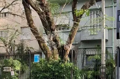 Casa sobrado 3 dormitórios no bairro são geraldo, rua olinda