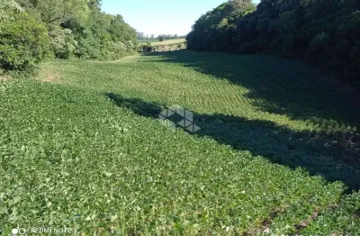 Chácara / sítio à venda na Rua Venâncio Ribas, 1, Parque Serrano, Itaara