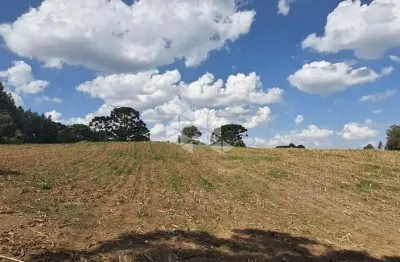 Terreno à venda na Rua da Unidade, 548, Forqueta, Caxias do Sul
