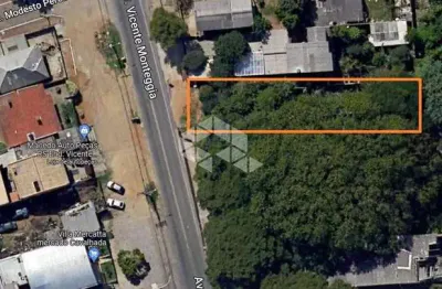 Terreno 500 m2 na Avenida Vicente Monteggia a 5 min Zaffari Cavalhada