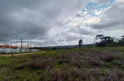 Terreno à venda na Emílio Sartori, 9, Borghetto, Garibaldi