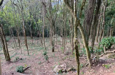 Terreno com 1.250m² a venda por R$ 150.000,00 - Paraíso da Cantareira - Mairiporã/SP