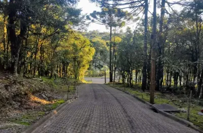 Terreno em condomínio fechado, com 611,59m2 na cidade de Canela