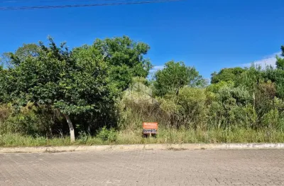Terreno à venda na Rua Cézar José Francischini, 7, Santa Catarina, Farroupilha