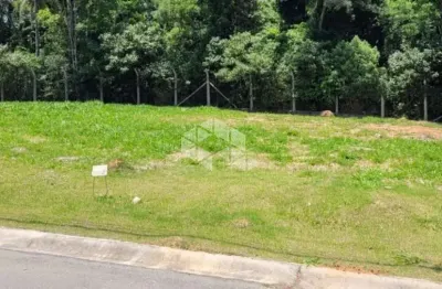 Terreno à venda na Rodovia Raposo Tavares, 1, Granja Viana, Cotia