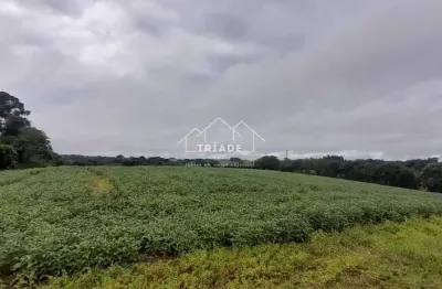 Terreno à venda na Rua Cornélio Procópio, Lagoa das Almas, Contenda