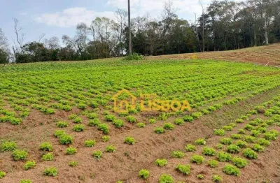 Terreno à venda, 19000 m² por r$ 400.000,00 - jardim do pinhal - pinhalzinho/sp