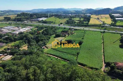 Área à venda, 41000 m² por r$ 4.000.000,00 - rio abaixo - atibaia/sp