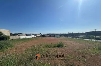 Terreno comercial para alugar na Rua Gavião, 472, Gralha Azul, Fazenda Rio Grande