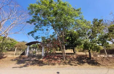 Venda - chácara - chácaras de recreio paraíso - santa bárbara d'oeste - sp