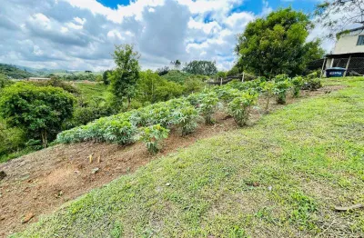 Chácara à venda, 7482.17 m2 por r$450000.00  - colonia antonio prado - colombo/pr