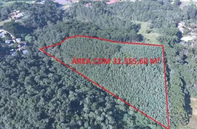 Área à venda, 0.00 m2 por r$250000.00  - boichininga - almirante tamandare/pr