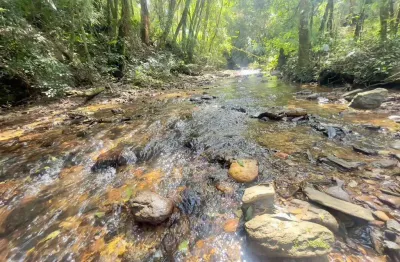 Chácara à venda, 50148.88 m2 por r$998000.00  - butiatumirim - colombo/pr