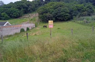 Terreno à venda, 4138.59 m2 por r$480000.00  - butiatumirim - colombo/pr