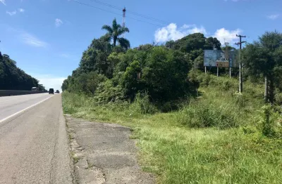 Área à venda, 121000.00 m2 por r$2200000.00  - borda do campo - sao jose dos pinhais/pr