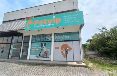 Sala comercial para alugar no Revoredo, Tubarão 