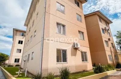 Apartamento para locação com 2 quartos, são francisco - toledo
