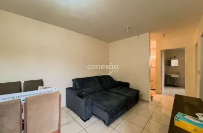 Apartamento para locação com 2 quartos mobiliado, jardim são franciso, toledo/pr