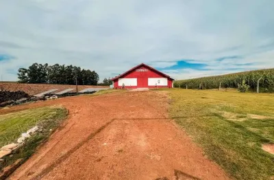 Chacara a venda com aviario, sede alvorada-cascavel-pr
