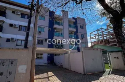 Apartamento à venda, edifício moriá, jardim gisela, toledo/pr
