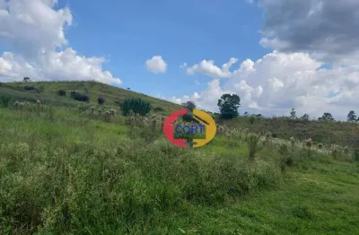 Área à venda, 137606 m² por r$ 55.042.400,00 - braz cubas - mogi das cruzes/sp
