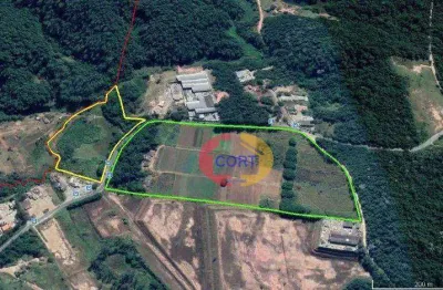 Área à venda, 8000 m² por r$ 4.240.000 - braz cubas - mogi das cruzes/sp