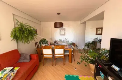 Apartamento para venda no cambuí em campinas - 3 quartos