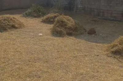 Terreno à venda na Lagoa, Ouro Preto 