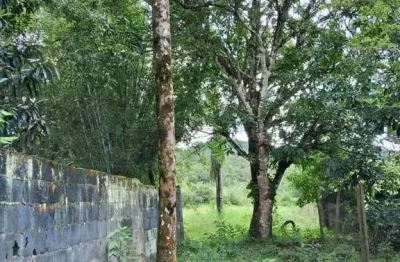 Terreno à venda em Monsenhor Horta, Mariana 