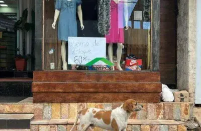 Loja comercial para aluguel - 40 m² no bairro cabanas, mariana (mg)